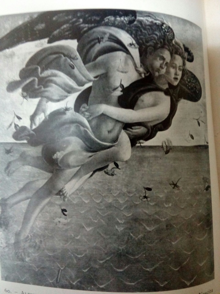 Libros: Firenze: Fiore del Mondo - Foto 3