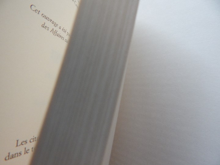 Libros: Le Calife de l&acute;&eacute;pouvante - Ben Salem Himmich, 1999 - Foto 6
