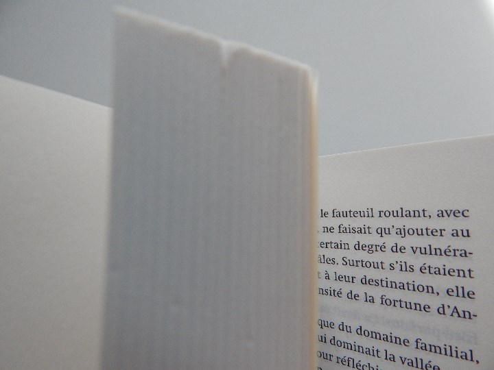 Libros: L &eacute;lixir de Rose . Une aventure d&acute;Hermux Tantamoq - Michael Hoeye 2009 - Libro franc&eacute;s - Foto 6