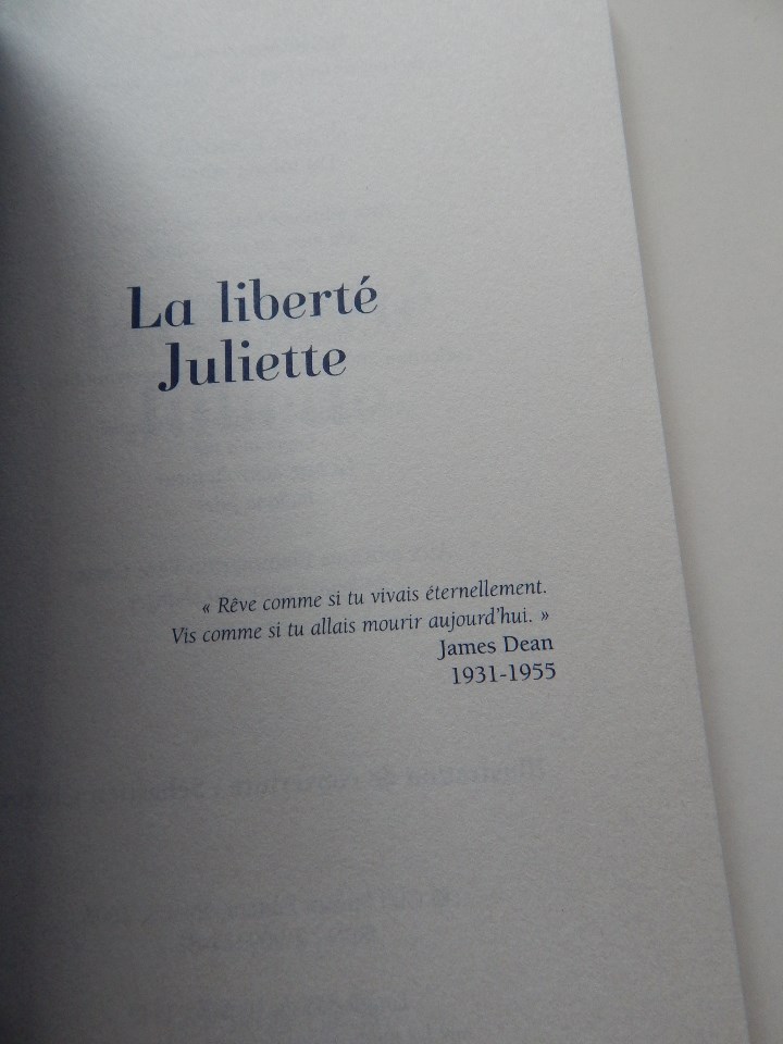 Libros: La libert&eacute; Juliette - Chantal Laborde, 2007 - Foto 8