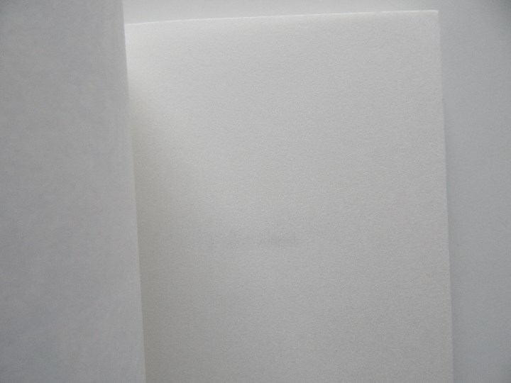 Libros: L&acute;effet Justine - Chlo&euml; Rayban, 2010 - Libro en franc&eacute;s - Foto 3
