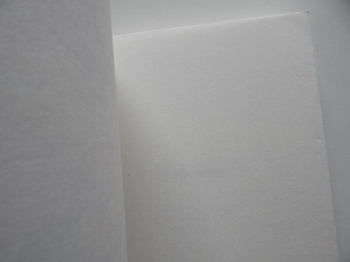 Libros: L&acute;effet Justine - Chlo&euml; Rayban, 2010 - Libro en franc&eacute;s - Foto 3
