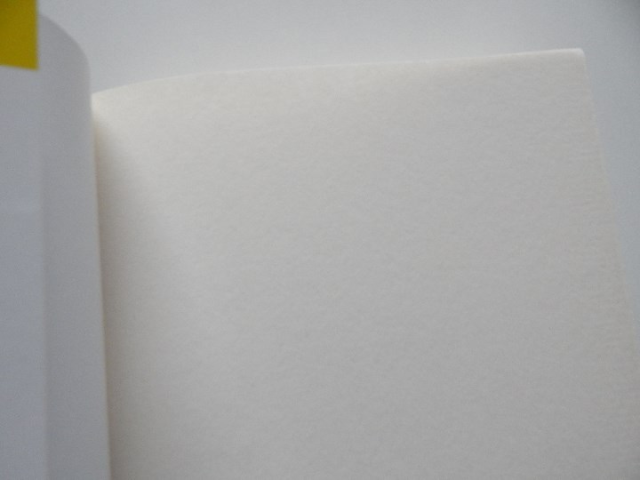 Libros: Lluvia de estrellas - Robin Pilcher, 2008 - Foto 3
