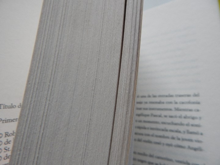 Libros: Lluvia de estrellas - Robin Pilcher, 2008 - Foto 6