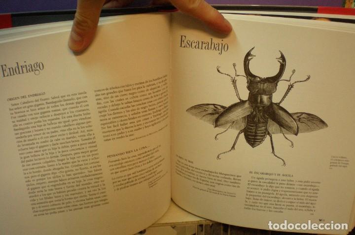 Libros: El Libro de los Seres Alados - Daniel Samoilovich - Foto 3