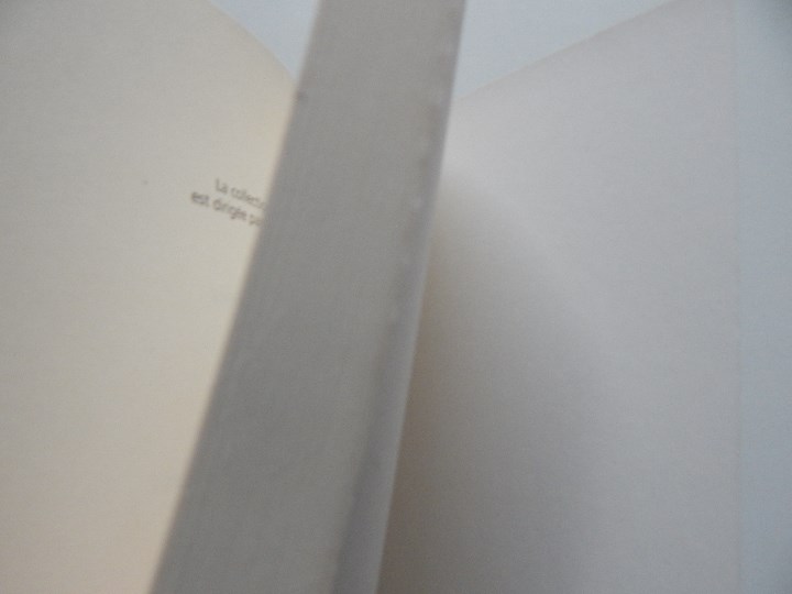 Libros: Wrong - Dennis Cooper - Libro franc&eacute;s - Foto 6