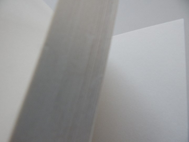 Libros: Adam comme un conte - Martine Laffon 2010 - Foto 6