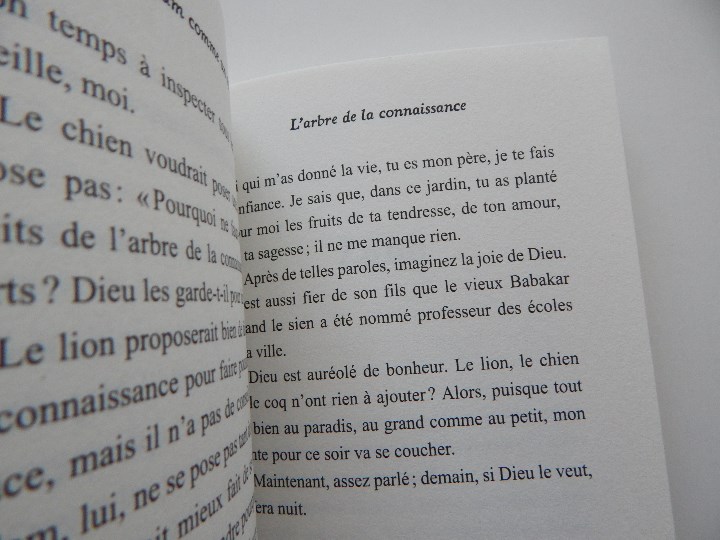 Libros: Adam comme un conte - Martine Laffon 2010 - Foto 8