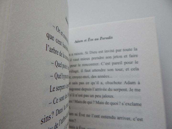Libros: Adam comme un conte - Martine Laffon 2010 - Libro franc&eacute;s - Foto 8