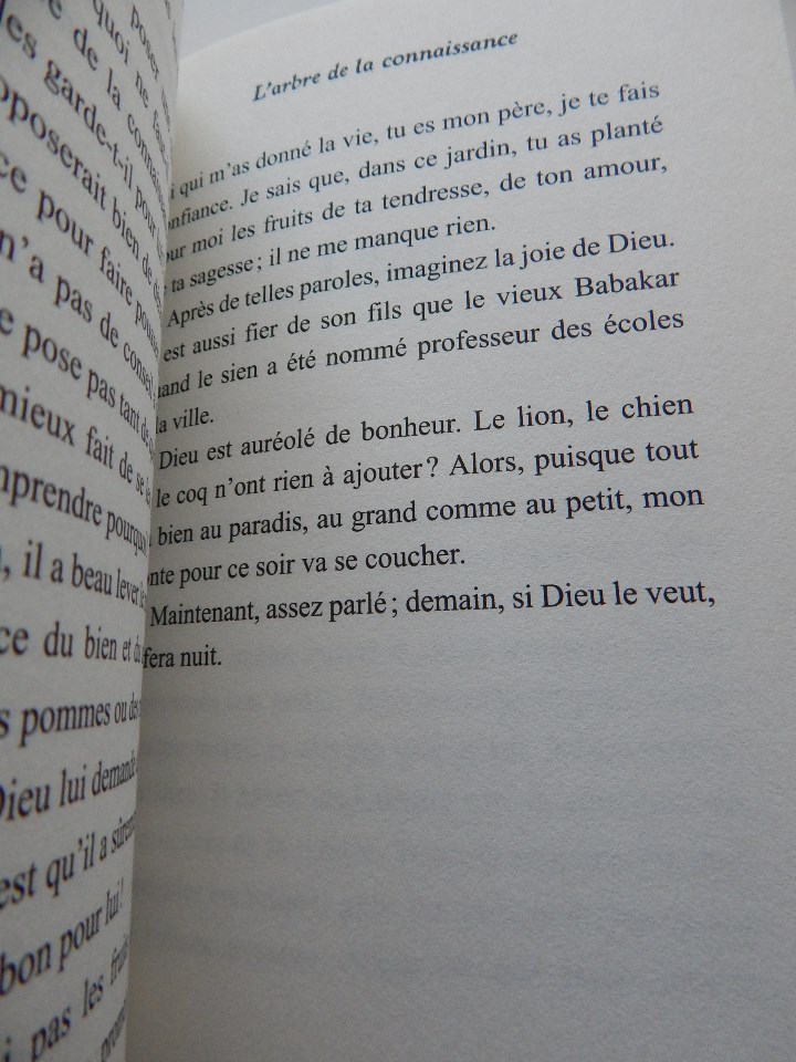 Libros: Adam comme un conte - Martine Laffon 2010 - Libro franc&eacute;s - Foto 10
