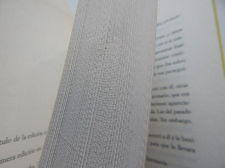 Libros: Los ni&ntilde;os de Armaged&oacute;n - Terry Brooks - Foto 7
