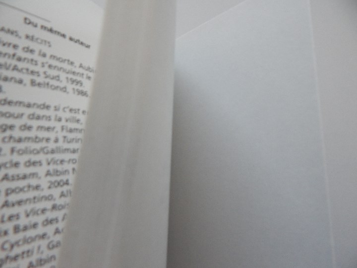 Libros: La Belle Endormie - G&eacute;rard de Cortanze, 2009 - Libro franc&eacute;s - Foto 7