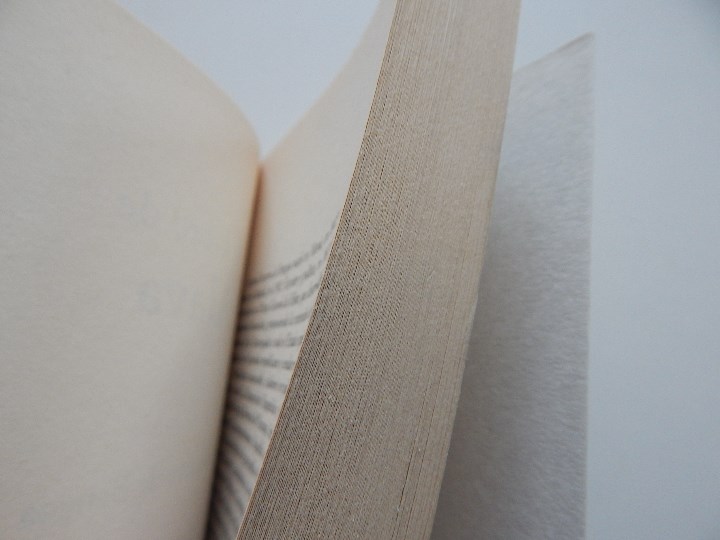 Libros: El libro de &Aacute;lava - Ricardo Becerro de Bengoa - Foto 7