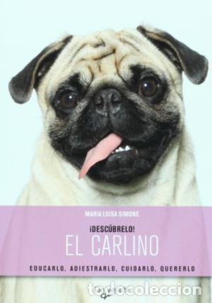 Libros: Descubrelo EL CARLINO - Simone,Mar&iacute;a Luisa - Foto 1
