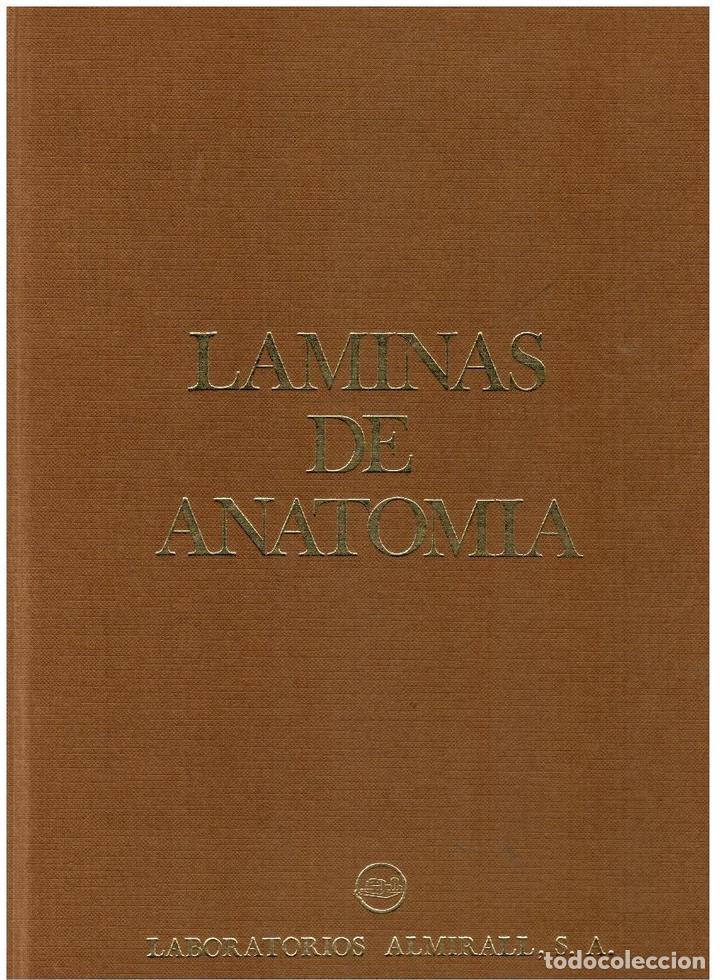 Libros: L&Aacute;MINAS DE ANATOM&Iacute;A. - Foto 1