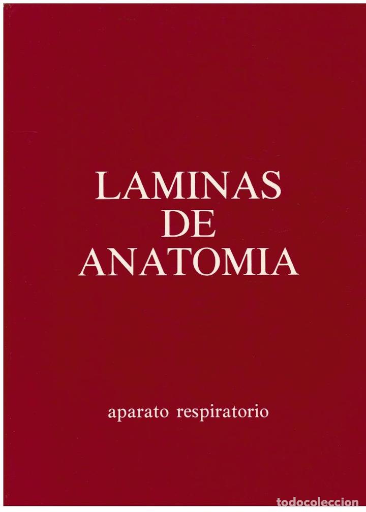 Libros: L&Aacute;MINAS DE ANATOM&Iacute;A. APARATO RESPIRATORIO. - Foto 1