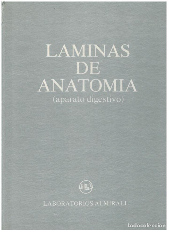 Libros: L&Aacute;MINAS DE ANATOM&Iacute;A. APARATO DIGESTIVO. - Foto 1