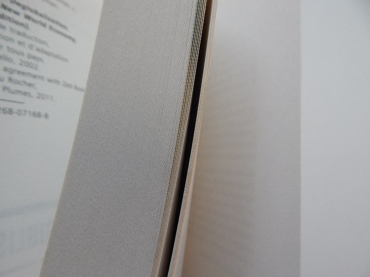 Libros: La d&eacute;mondialisation - Walden Bello, 2011 - Foto 6