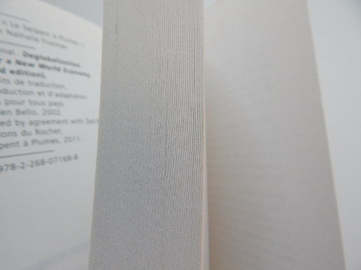 Libros: La d&eacute;mondialisation - Walden Bello, 2011 - Foto 6