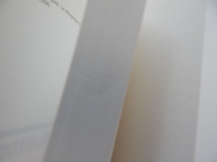 Libros: La d&eacute;mondialisation - Walden Bello, 2011 - Foto 6