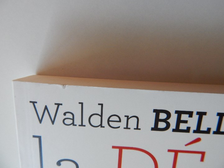 Libros: La d&eacute;mondialisation - Walden Bello, 2011 - Libro franc&eacute;s - Foto 4