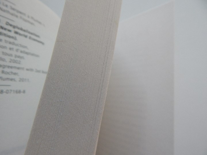 Libros: La d&eacute;mondialisation - Walden Bello, 2011 - Libro franc&eacute;s - Foto 8