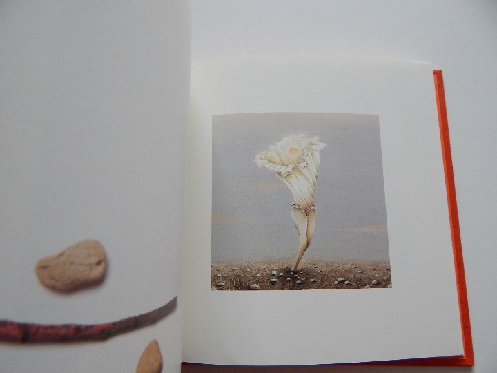 Libros: Minium R&ecirc;ve rare de 1 minute 12 - Fr&eacute;d&eacute;ric Cl&eacute;ment, 2000 - Libro franc&eacute;s - Foto 7