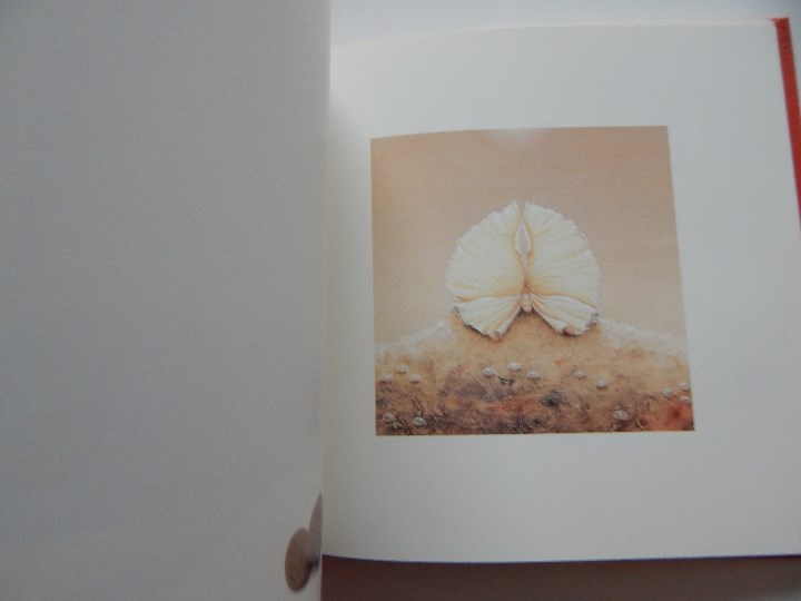 Libros: Minium R&ecirc;ve rare de 1 minute 12 - Fr&eacute;d&eacute;ric Cl&eacute;ment, 2000 - Libro franc&eacute;s - Foto 6