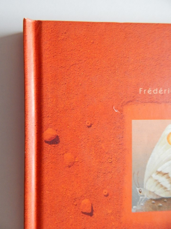 Libros: Minium R&ecirc;ve rare de 1 minute 12 - Fr&eacute;d&eacute;ric Cl&eacute;ment, 2000 - Libro franc&eacute;s - Foto 2