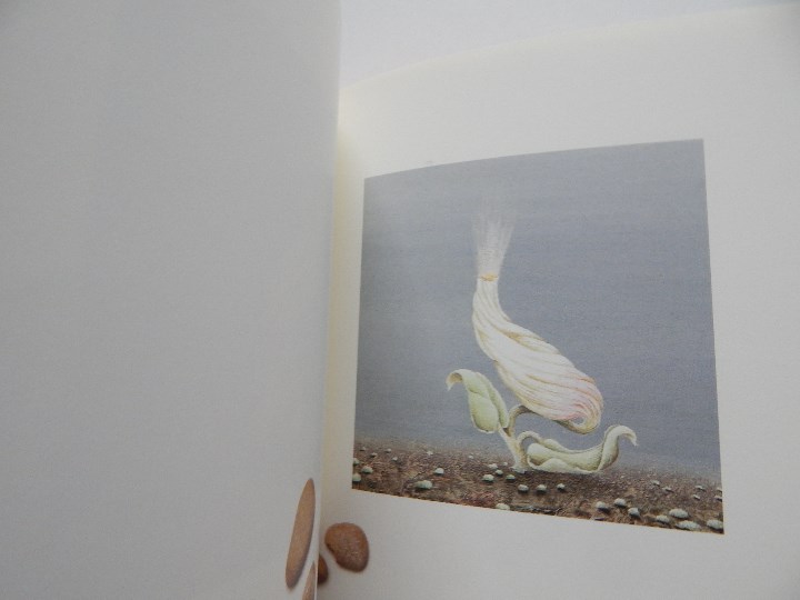 Libros: Minium R&ecirc;ve rare de 1 minute 12 - Fr&eacute;d&eacute;ric Cl&eacute;ment, 2000 - Libro franc&eacute;s - Foto 6