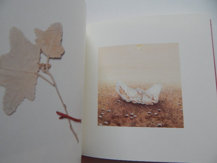 Libros: Minium R&ecirc;ve rare de 1 minute 12 - Fr&eacute;d&eacute;ric Cl&eacute;ment, 2000 - Libro franc&eacute;s - Foto 7
