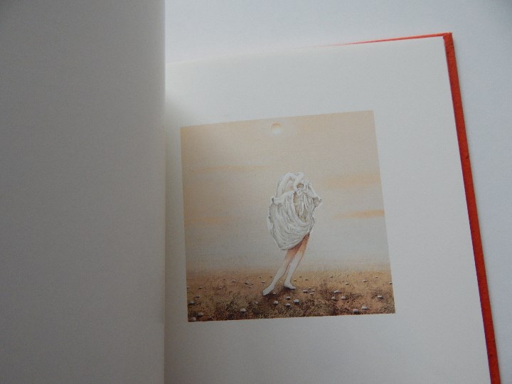 Libros: Minium R&ecirc;ve rare de 1 minute 12 - Fr&eacute;d&eacute;ric Cl&eacute;ment, 2000 - Libro franc&eacute;s - Foto 8