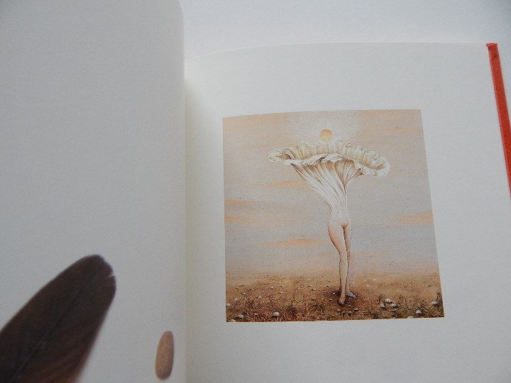 Libros: Minium R&ecirc;ve rare de 1 minute 12 - Fr&eacute;d&eacute;ric Cl&eacute;ment, 2000 - Libro franc&eacute;s - Foto 8