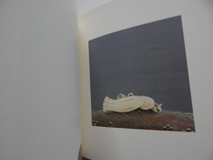 Libros: Minium R&ecirc;ve rare de 1 minute 12 - Fr&eacute;d&eacute;ric Cl&eacute;ment, 2000 - Libro franc&eacute;s - Foto 6