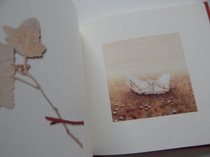 Libros: Minium R&ecirc;ve rare de 1 minute 12 - Fr&eacute;d&eacute;ric Cl&eacute;ment, 2000 - Libro franc&eacute;s - Foto 7