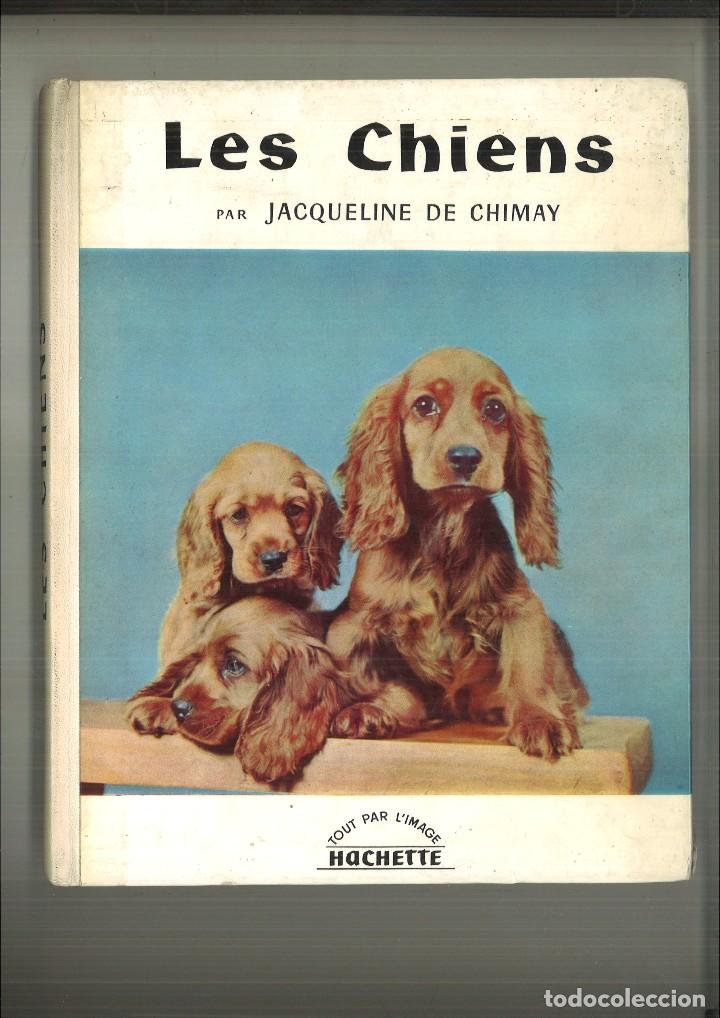 Libros: LES CHIENS. Jacqueline de Chimay - Foto 1