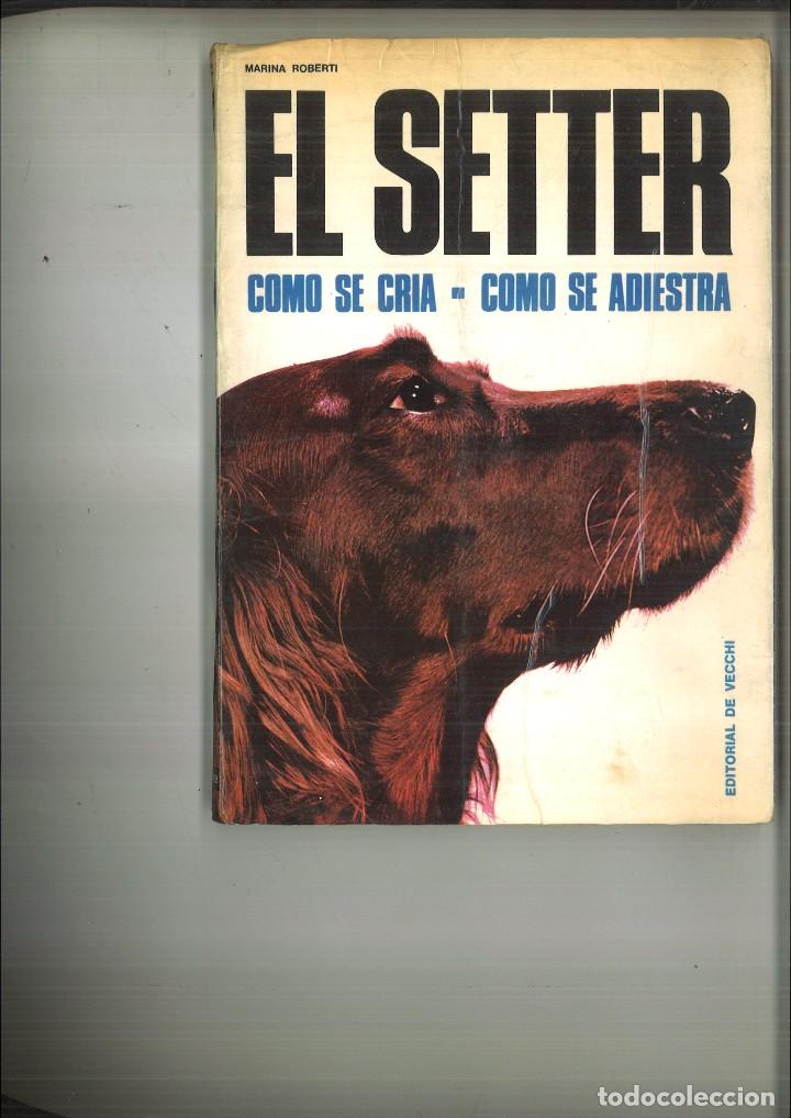 Libros: EL SETTER. COMO SE CRIA. COMO SE ADIESTRA. Marina Roberti - Foto 1