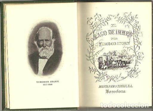 Libros: EL LAGO DE IMMEN. - STORM, Theodor. - Foto 1
