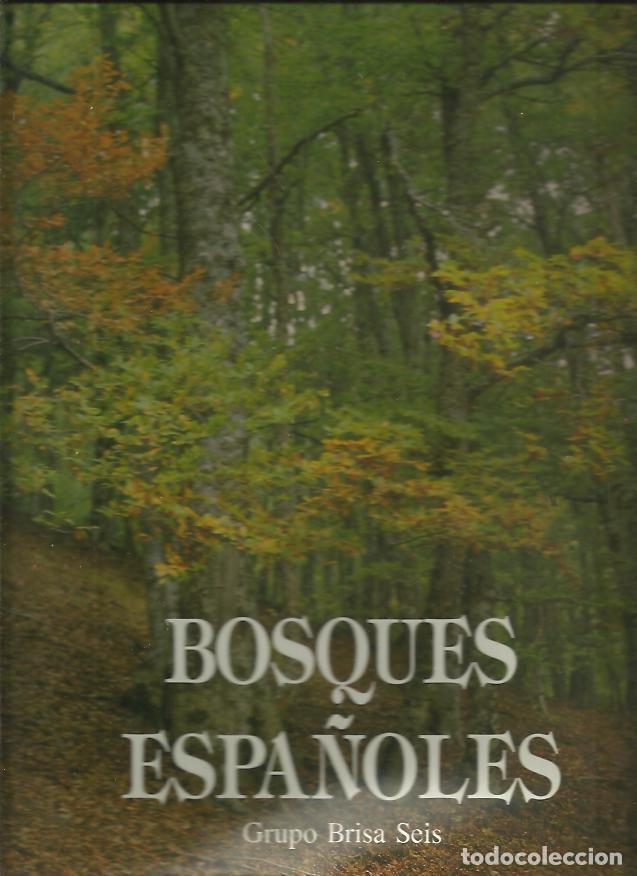 Libros: BOSQUES ESPA&Ntilde;OLES. - ANONIMO. - Foto 1