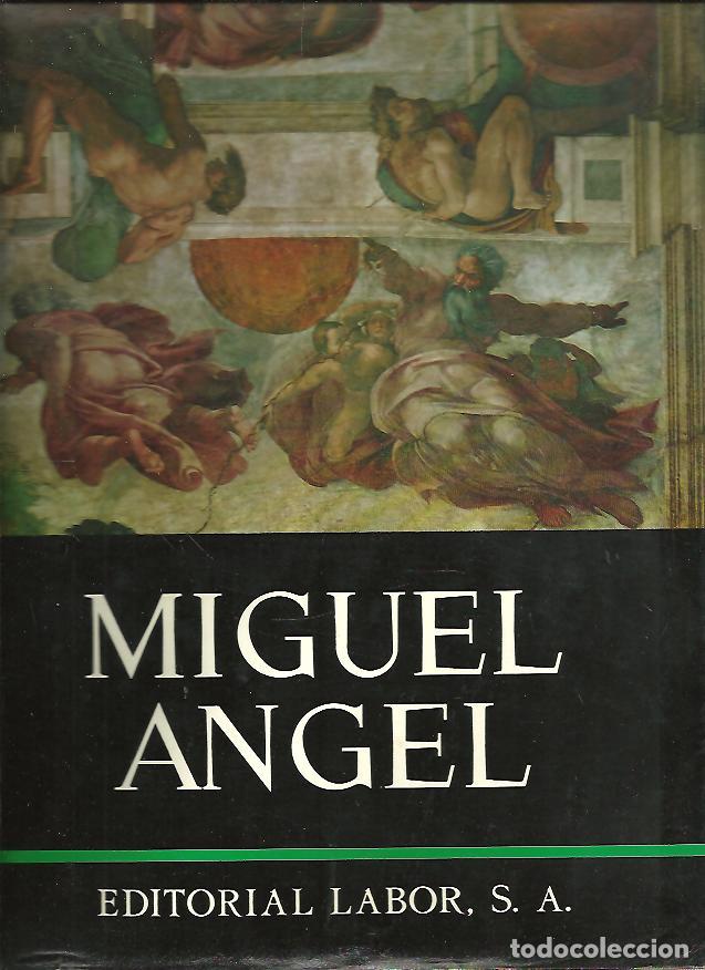 Libros: MIGUEL ANGEL. - HARTT, Frederick. - Foto 1