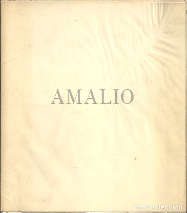 Libros: AMALIO. - CATALOGO. - Foto 1