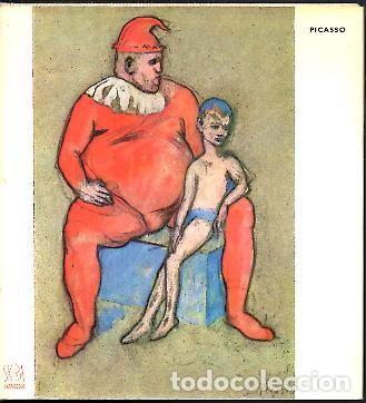 Libros: PICASSO. - RAYNAL, Maurice. - Foto 1