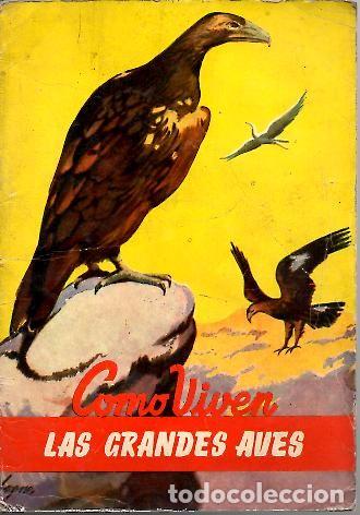 Libros: COMO VIVEN LOS GRANDES ANIMALES DEL ESPACIO. - GUARDIOLA, Antonio. - Foto 1