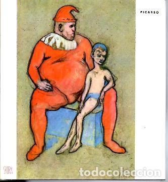 Libros: PICASSO. - RAYNAL, Maurice. - Foto 1