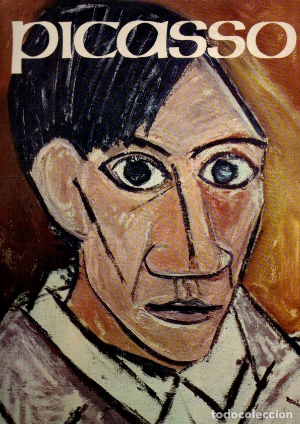 Libros: PABLO PICASSO. - JAFFE, Hans L. C. - Foto 1