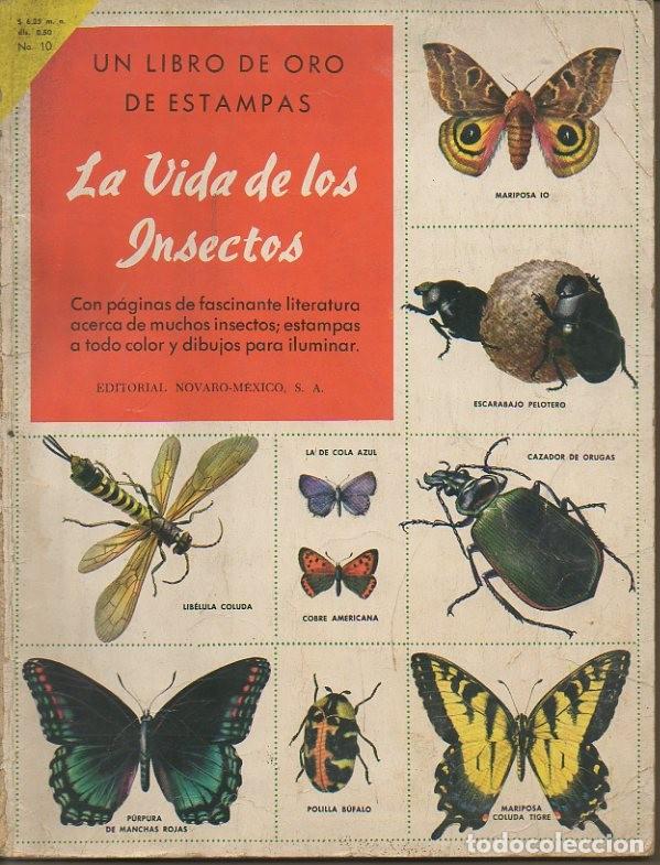 Libros: LA VIDA DE LOS INSECTOS. - CURRAN, Howard. - Foto 1