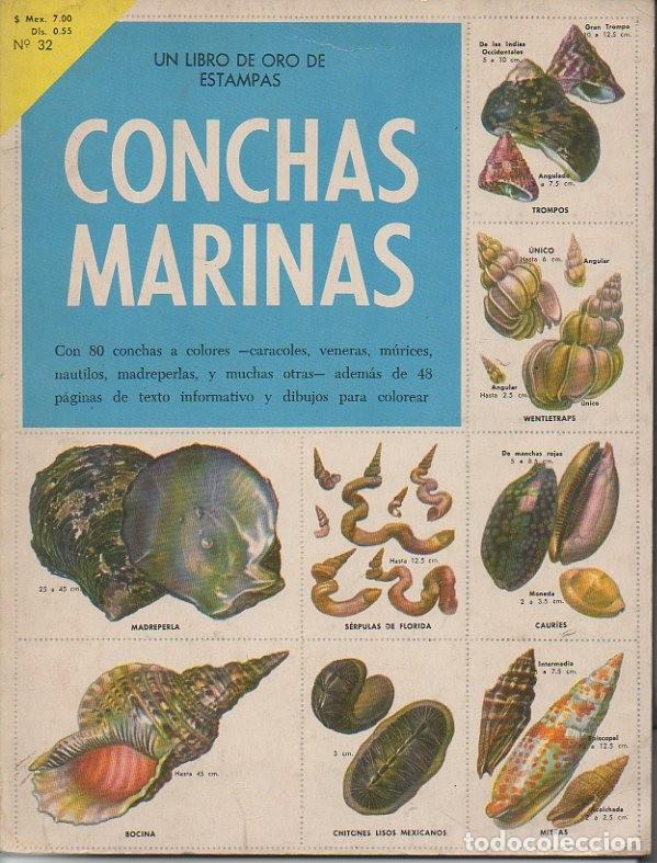 Libros: CONCHAS MARINAS. - SAUNDERS, John R. - Foto 1