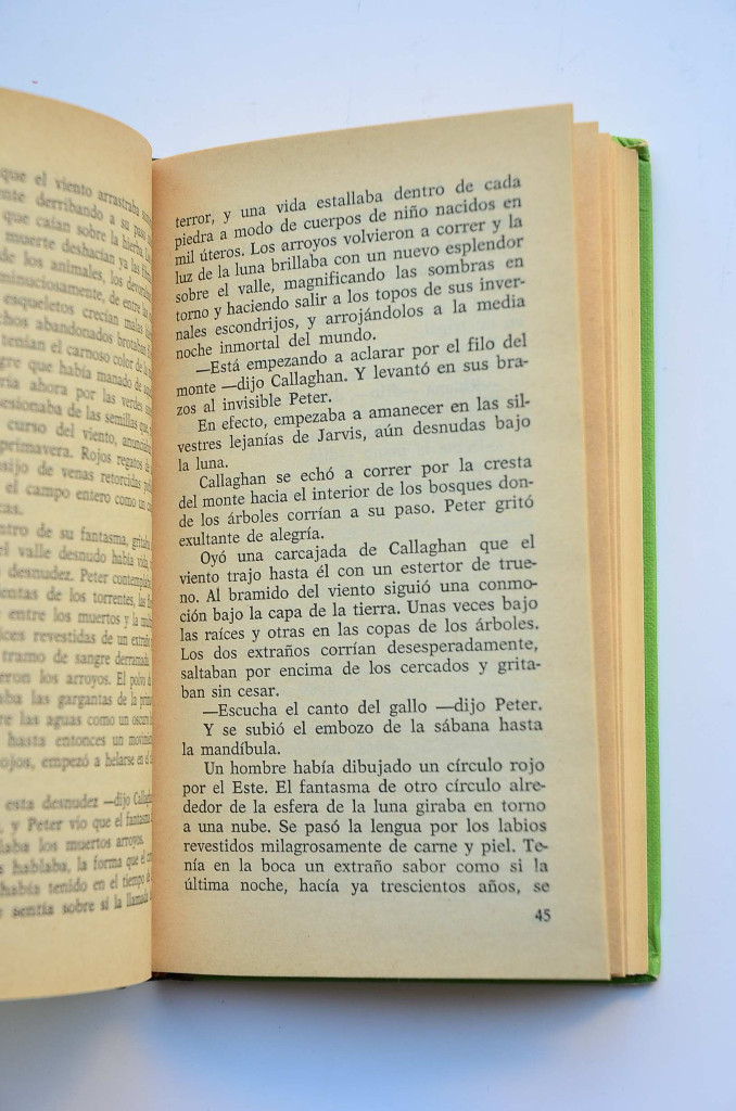 Libros: El visitante y otras historias - THOMAS, Dylan - Foto 3
