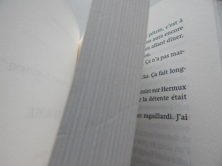 Libros: L &eacute;lixir de Rose . Une aventure d&acute;Hermux Tantamoq - Michael Hoeye 2009 - Libro franc&eacute;s - Foto 6