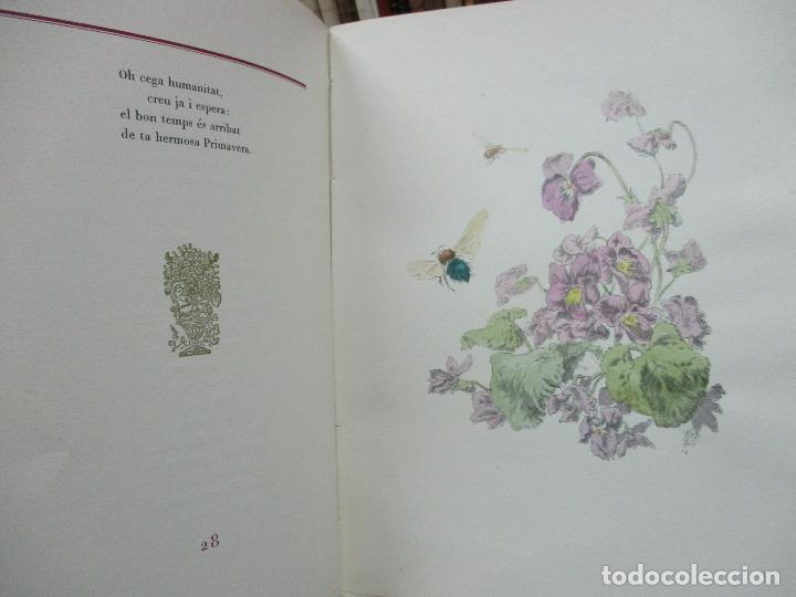 Libros: FLORS DE MARIA. - VERDAGUER, Jacint. - Foto 10